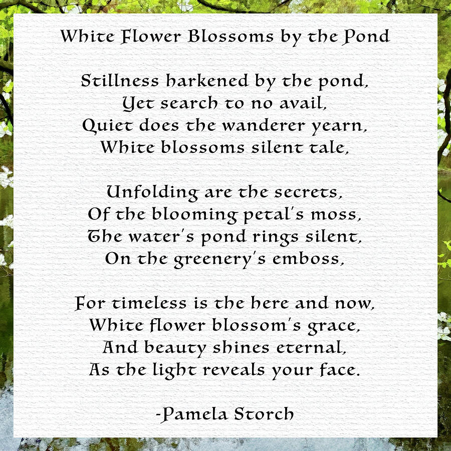 Flower Digital Art - White Flower Blossoms by the Pond Poem White Cardstock Edition by Pamela Storch