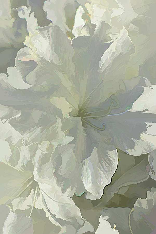 White Flower in Acrylic Photograph by Roberta Byram