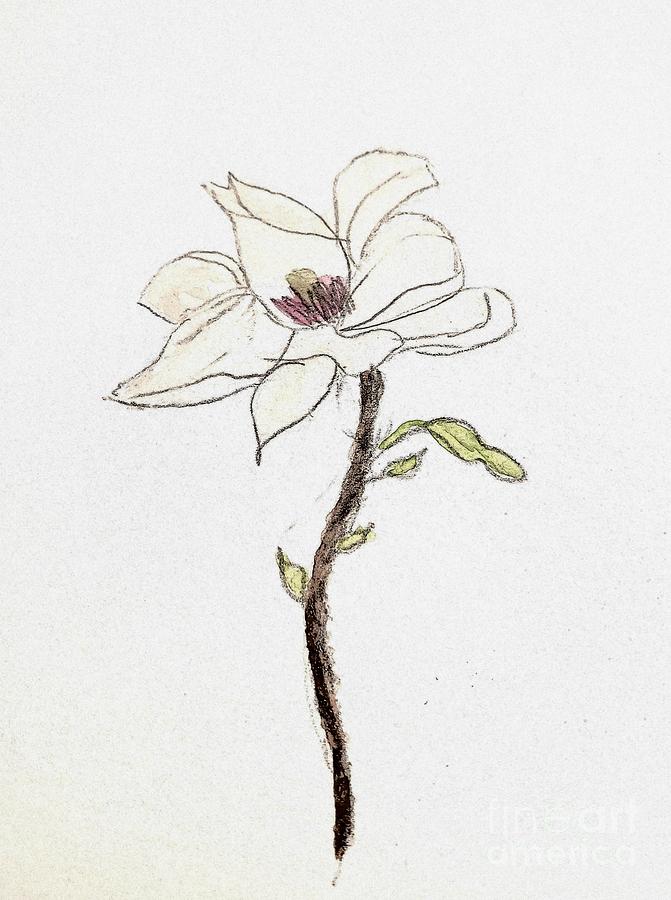 White Flower Painting by Margaret Welsh Willowsilk