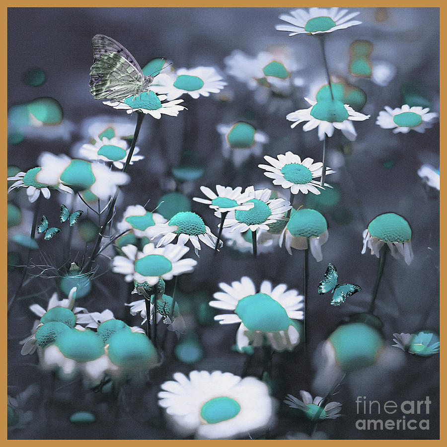 White Flowers butterfly  Painting by Gull G