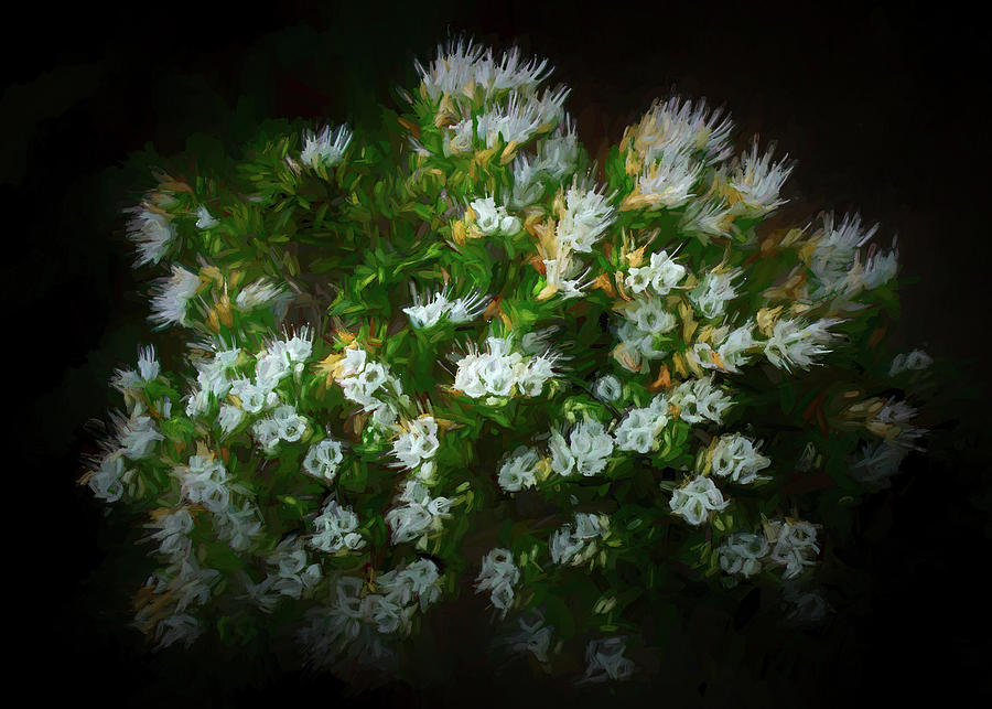 White Flowers Digital Art