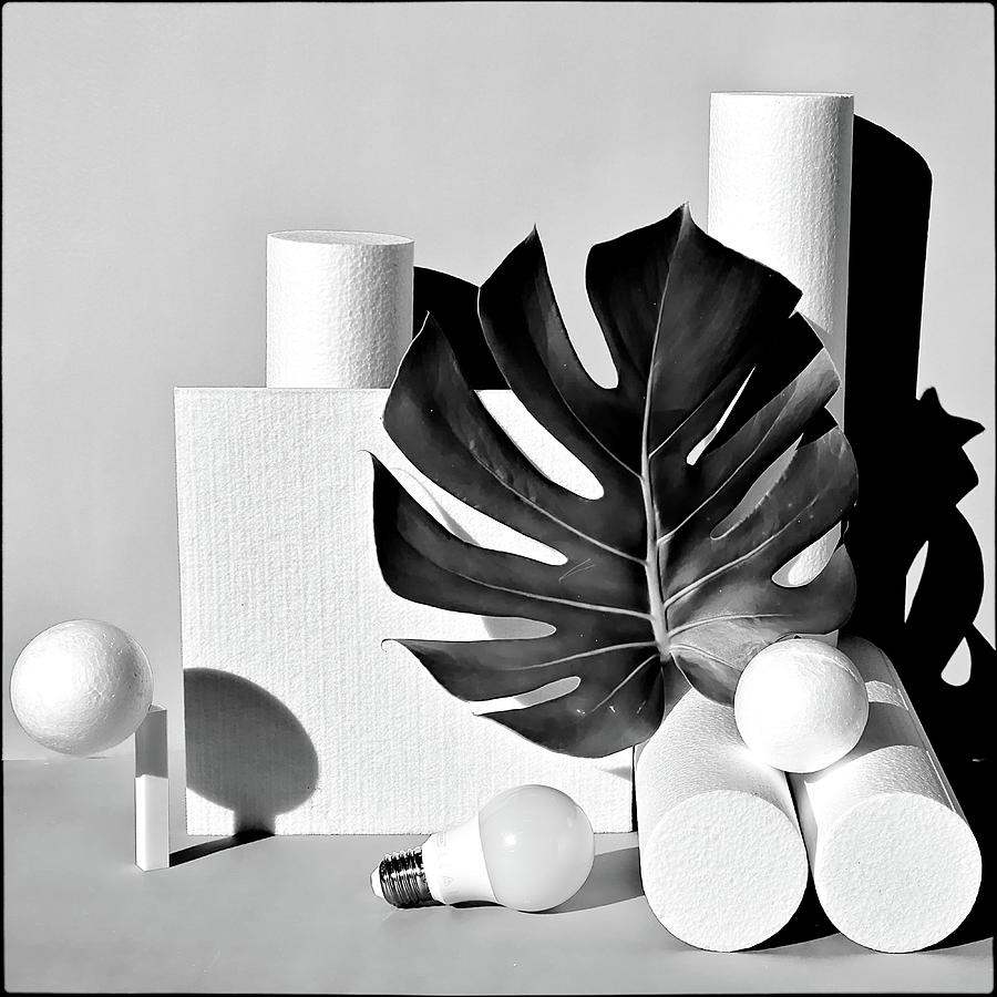 White forms BW Photograph by Andrei SKY