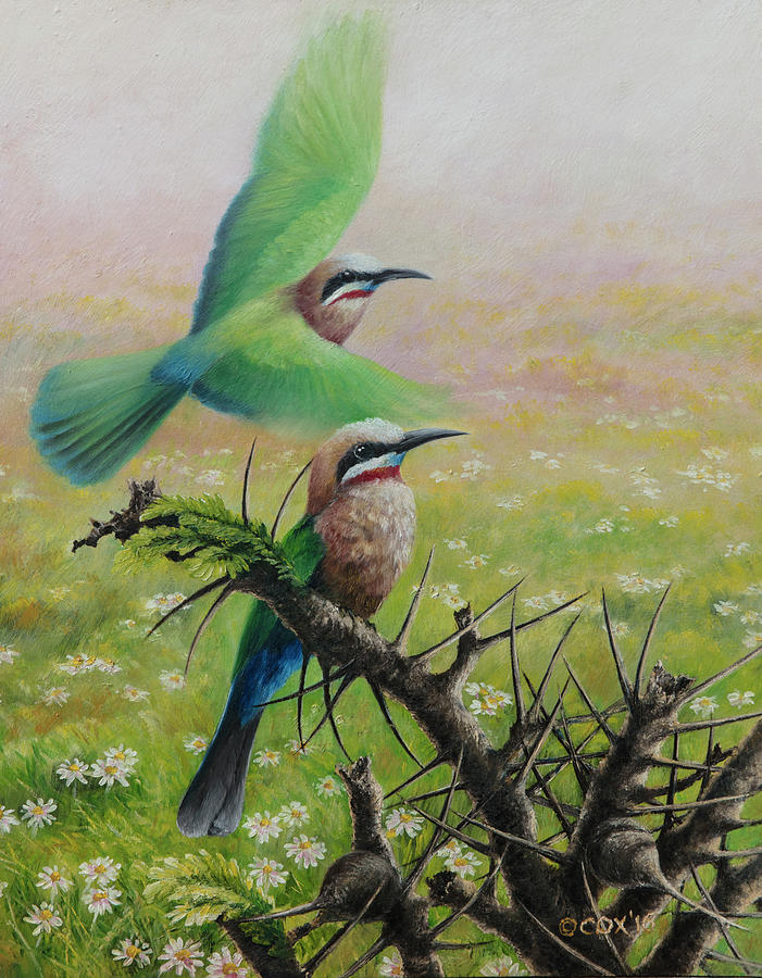 White-fronted Bee-eaters Painting by Christopher Cox