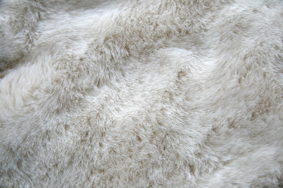 White fur Photograph by ///