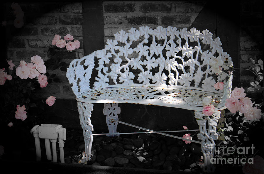 Bench Photograph - White Garden Bench Classic Pink Rose Selective Coloring by Colleen Cornelius