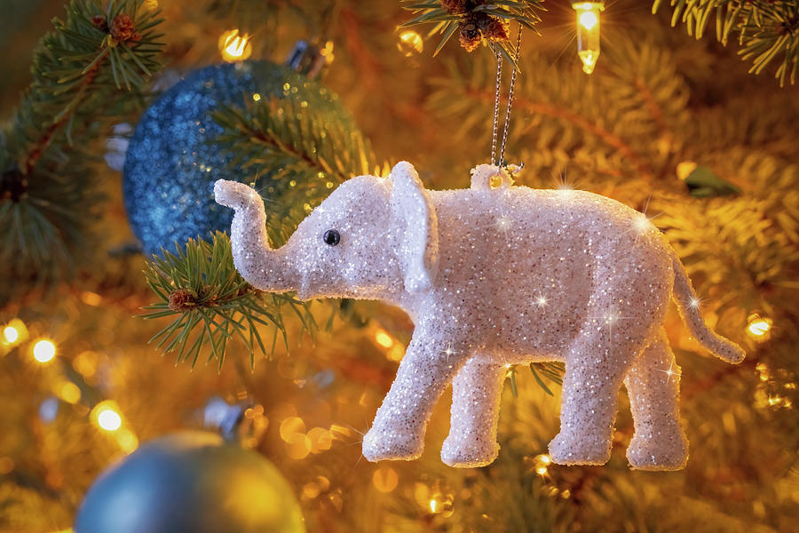 White Glitter Elephant Ornament Photograph