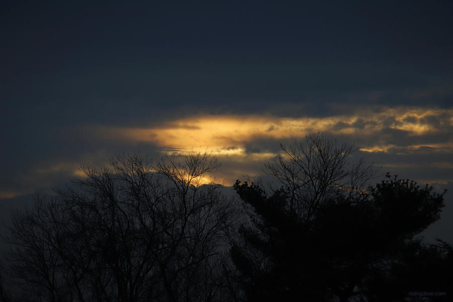 White Gold Morning Rises Through the Dark February 9 2021 Photograph by Miriam A Kilmer
