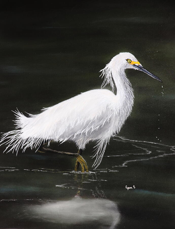 White Great Egret Pastel by Dreamz - - Fine Art America