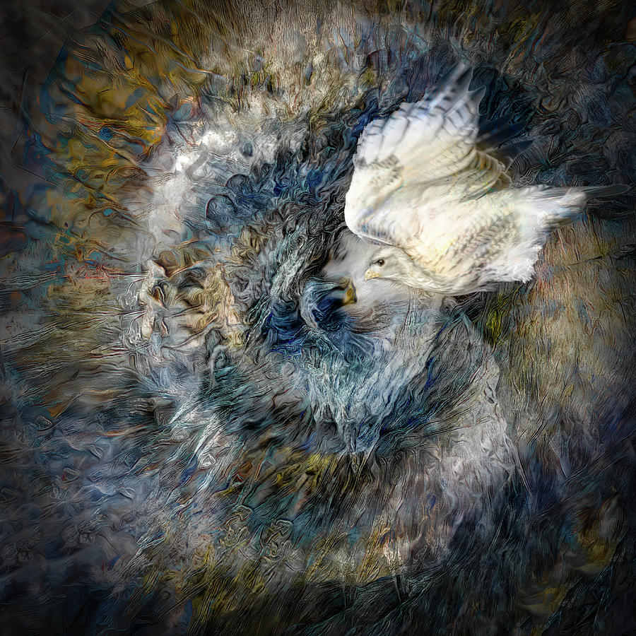 White Hawk Digital Art by Sandra Nesbit