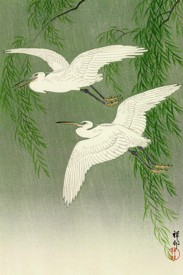 Ohara Koson Painting - White Herons and Willow in Rain by Ohara Koson