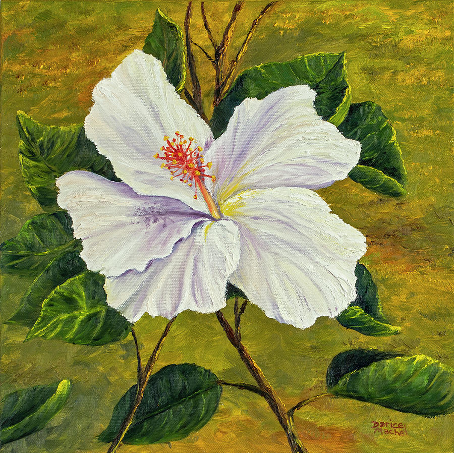White Hibiscus Painting by Darice Machel McGuire