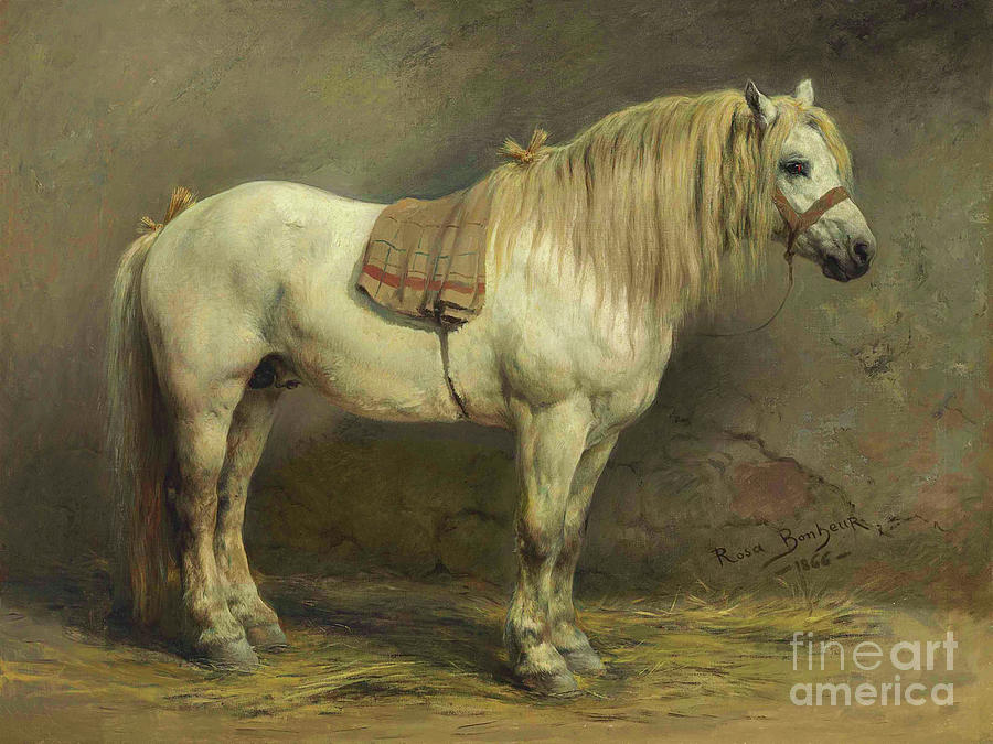 White Horse 1866 Painting by Rosa Bonheur