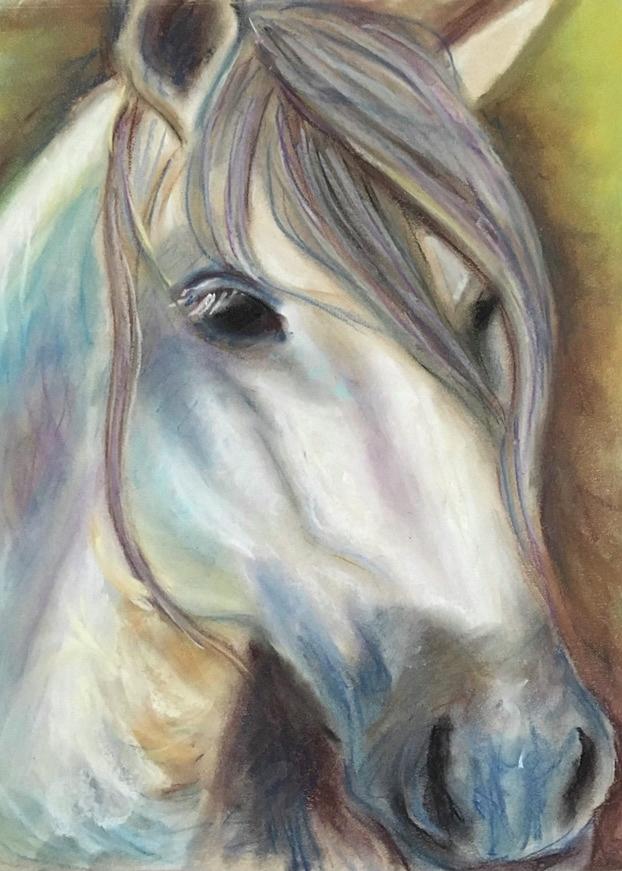 White Horse Pastel by Astrid Samos - Fine Art America