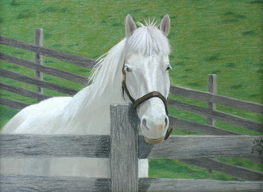White Horse by Miriam Kilmer Pastel by Miriam A Kilmer