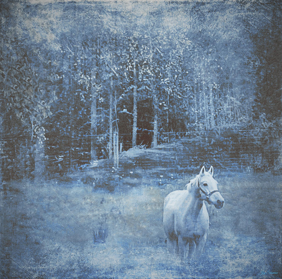 White Horse in a Forest Dream by Joy Sussman Photograph by Joy Sussman