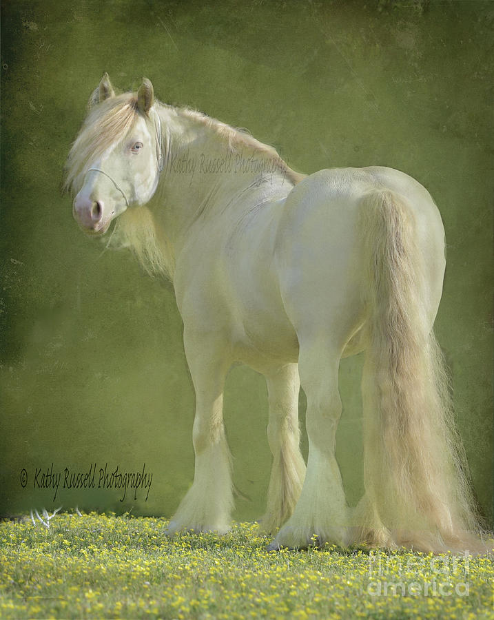 White Horse in Green Digital Art by Kathy Russell
