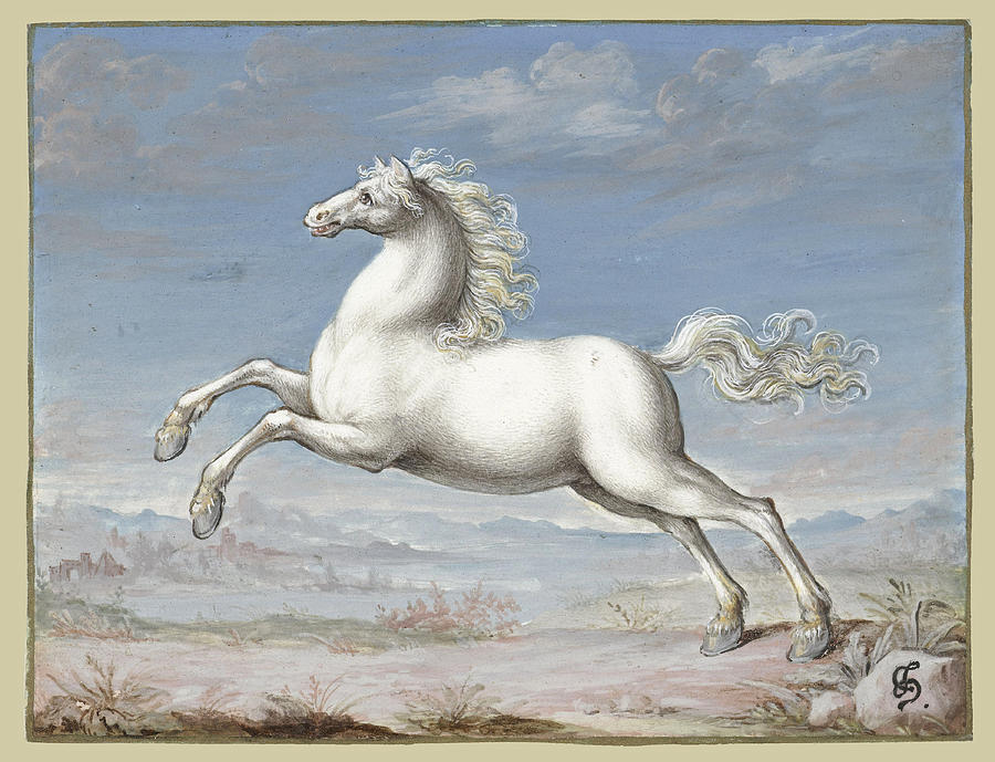 White horse Drawing by Joris Hoefnagel
