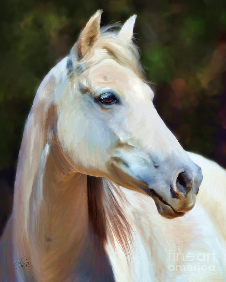 White Horse Photograph by Kimberly Chason