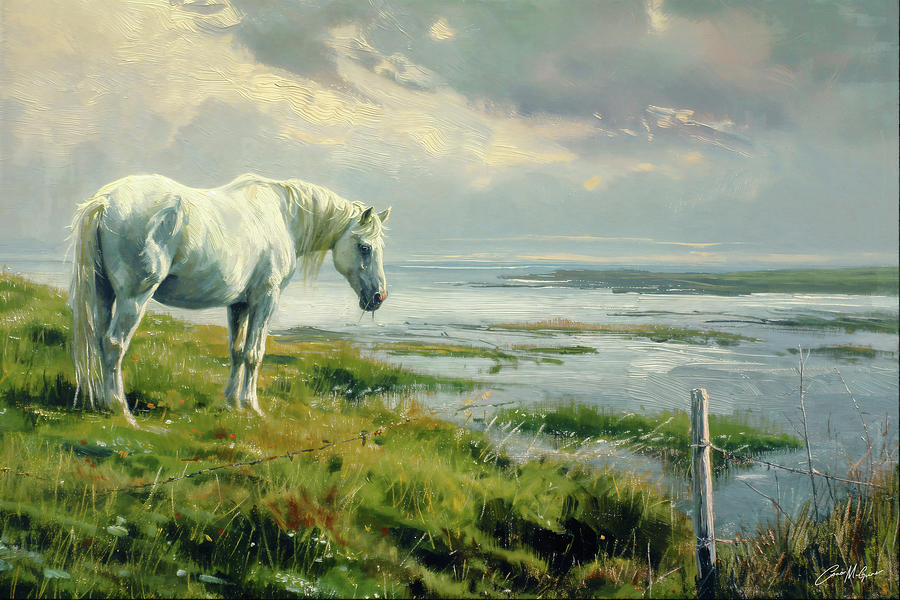 White Horse On Atlantic Shore, Ireland Painting