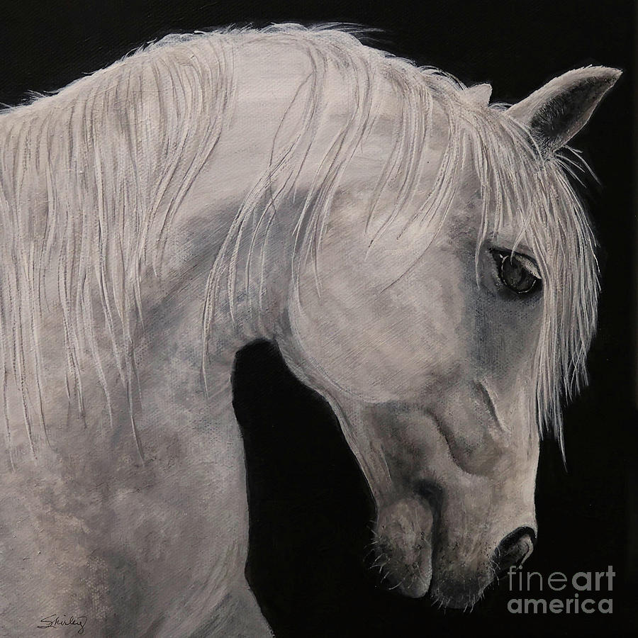 White Horse Painting Painting by Shirley Dutchkowski