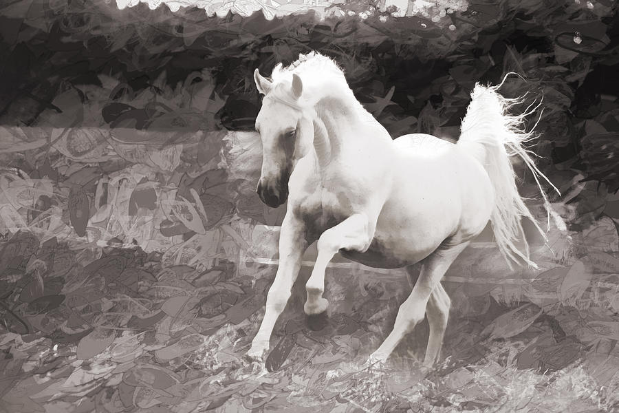 White Horse Prancing Digital Art by Steve Ladner