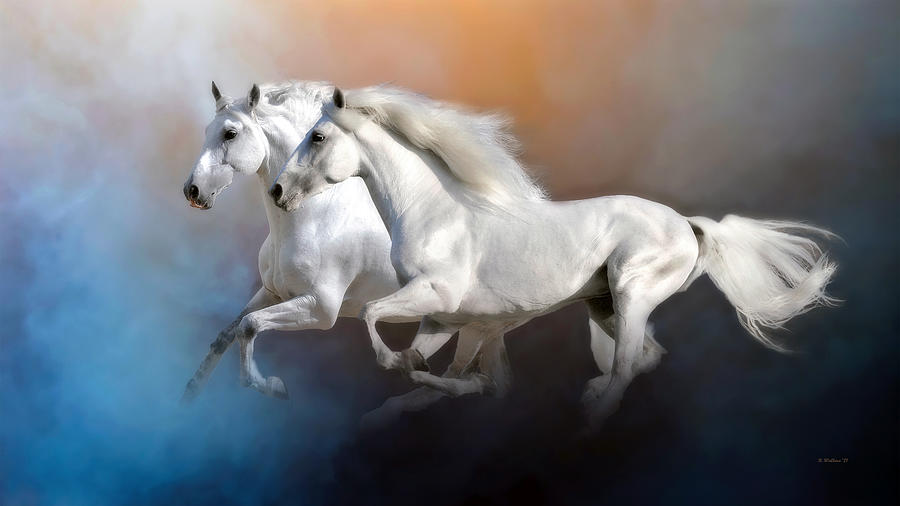 White Horses Digital Art by Brian Wallace
