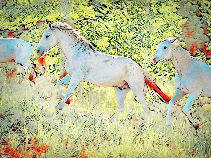 Nature Photograph - White Horses on Parade by Kay Brewer