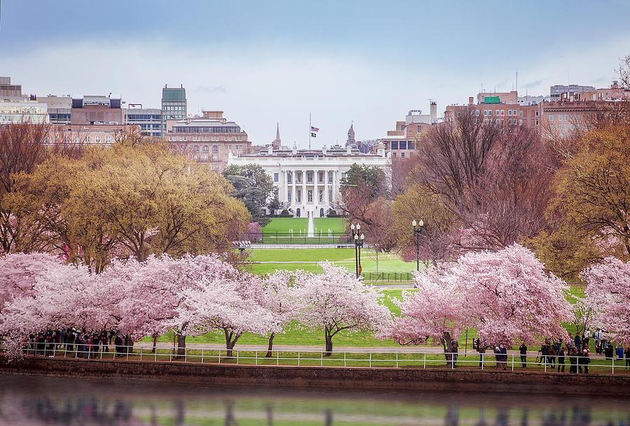 White House at Spring Photograph by Andrew Soundarajan