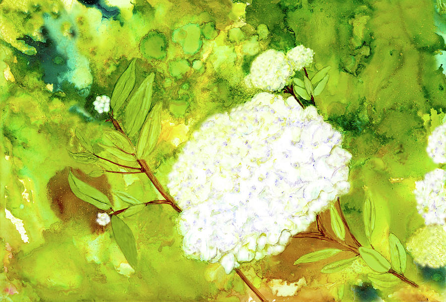 White Hydrangea Alcohol Ink Painting Painting by Deborah League