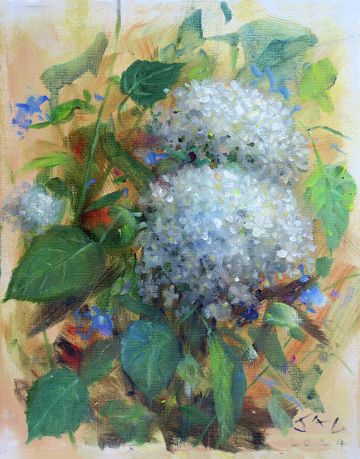 White Hydrangeas by Jonathan Guy Gladding JAG