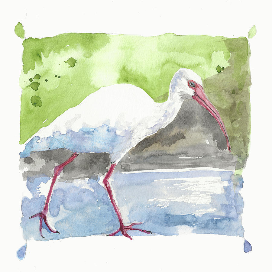 White Ibis Painting by Miranda Loud
