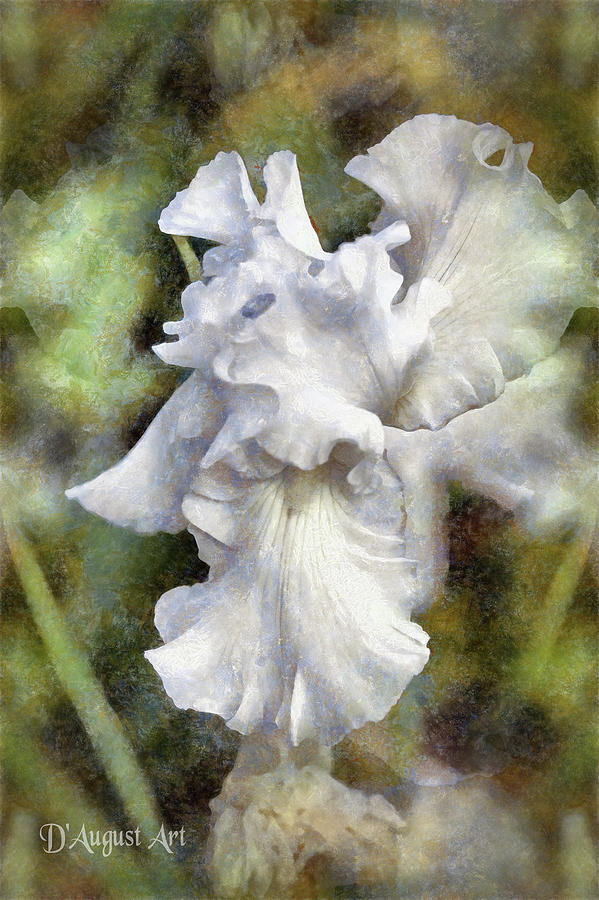 White Iris Digital Art