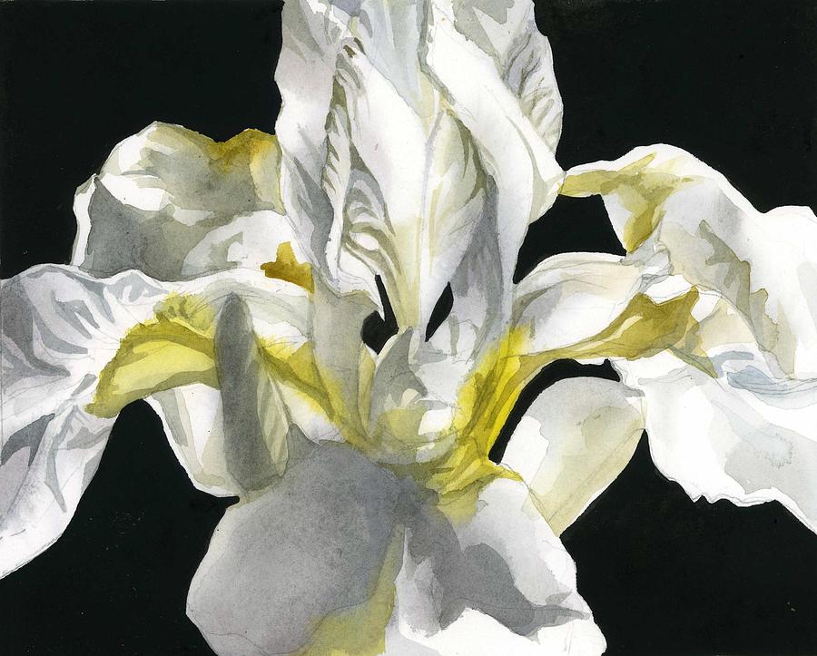 White Iris Watercolor Painting by Alfred Ng