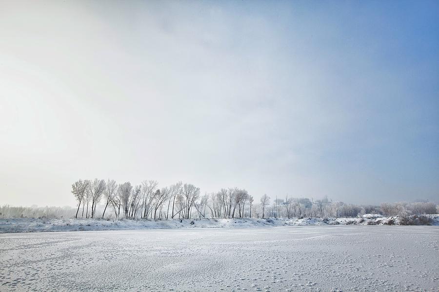 White Landscapes - Frozen lake with ice patterns and trees in winter. Photograph by Robb Reece