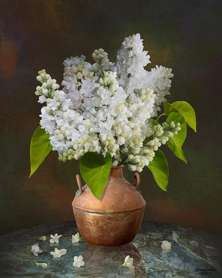 White Lilacs Digital Art by Spadecaller - Fine Art America