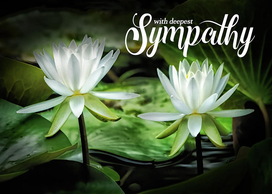 White Lilies Sympathy Digital Art by Doreen Erhardt