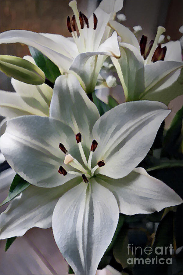 White Lilies Photograph by Yvonne Johnstone