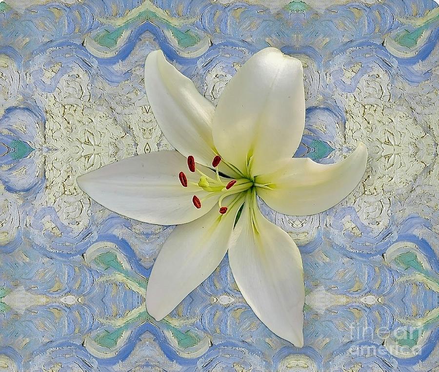 White Lily on Blue Photograph by Jeannie Rhode