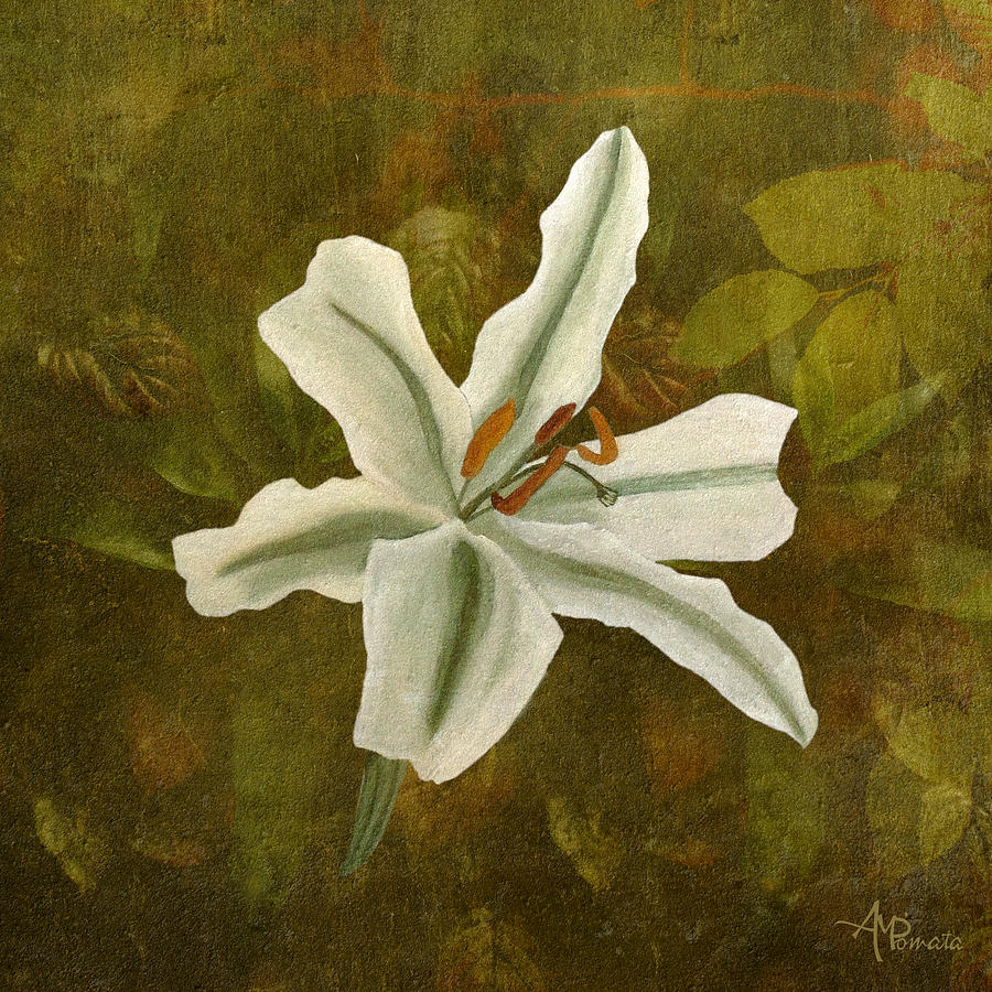 White Lily On Green Painting by Angeles M Pomata