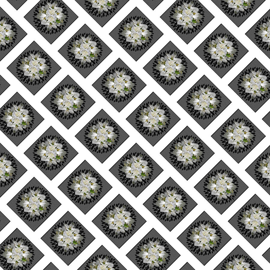 White Lily Transparent Background Motif Digital Art by Delynn Addams