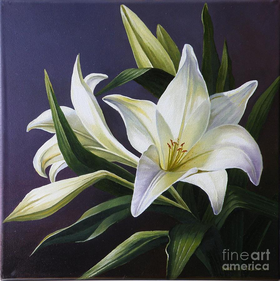 Lily Painting - White Lily by Varvara Harmon