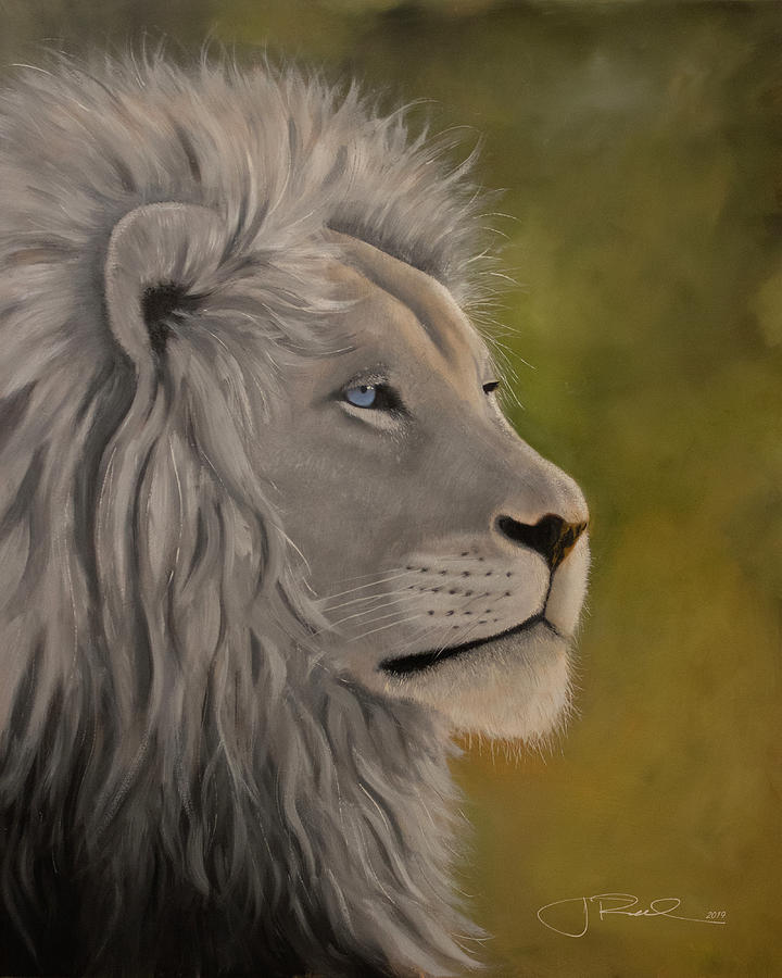 White Lion Painting by Jim Reed - Fine Art America