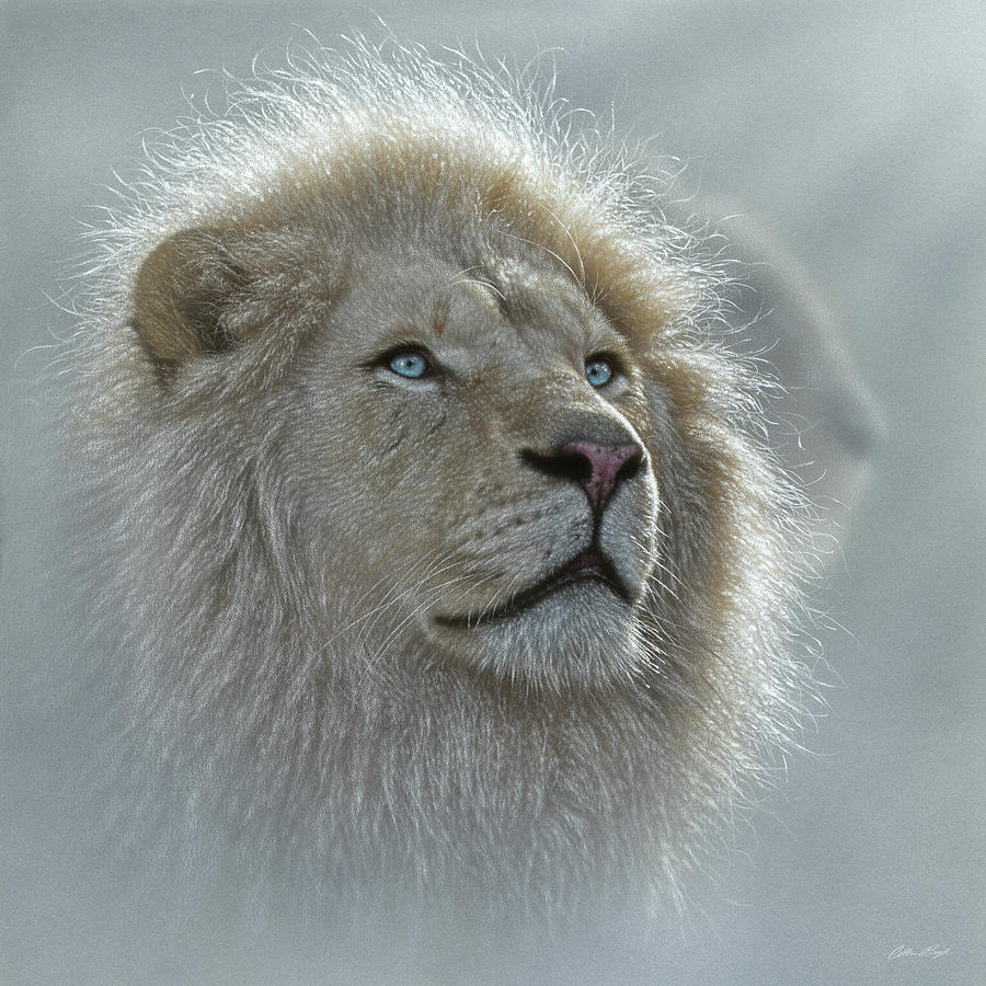 Cat Painting - White Lion Portrait by Collin Bogle