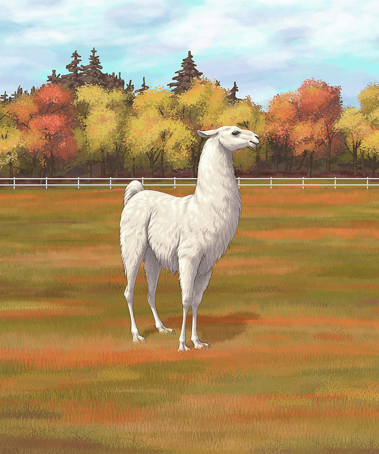 White Llama in Autumn Farm Pasture Painting by Crista Forest