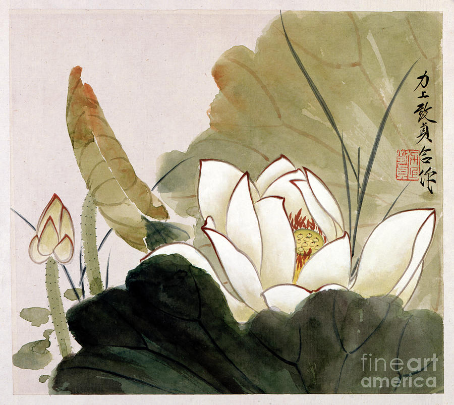 White Lotus Flower Painting by Yu Zhizhen