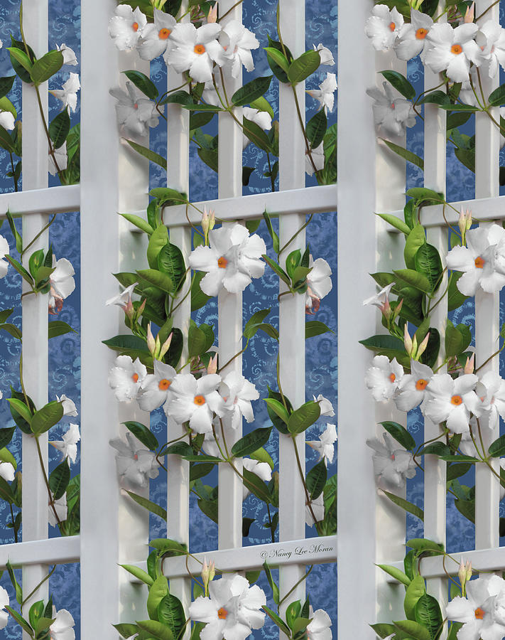 White Mandevilla Flowers on Trellis with Blue Tie Dye Mixed Media by Nancy Lee Moran