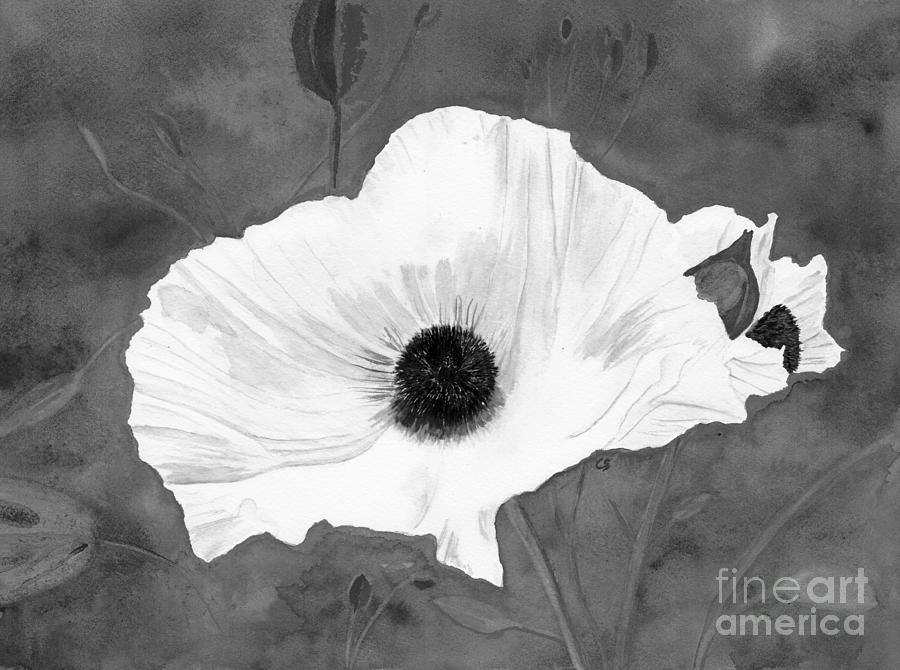 White Matalija Poppy in Black and White Digital Art by Conni Schaftenaar