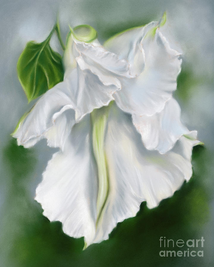 White Moonflower Unfurling in the Evening Painting by MM Anderson