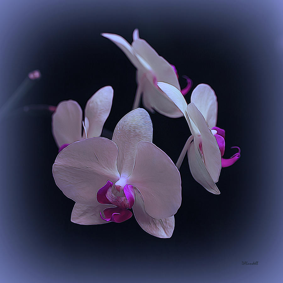 White Moth Orchid Digital Art by Dennis Lundell