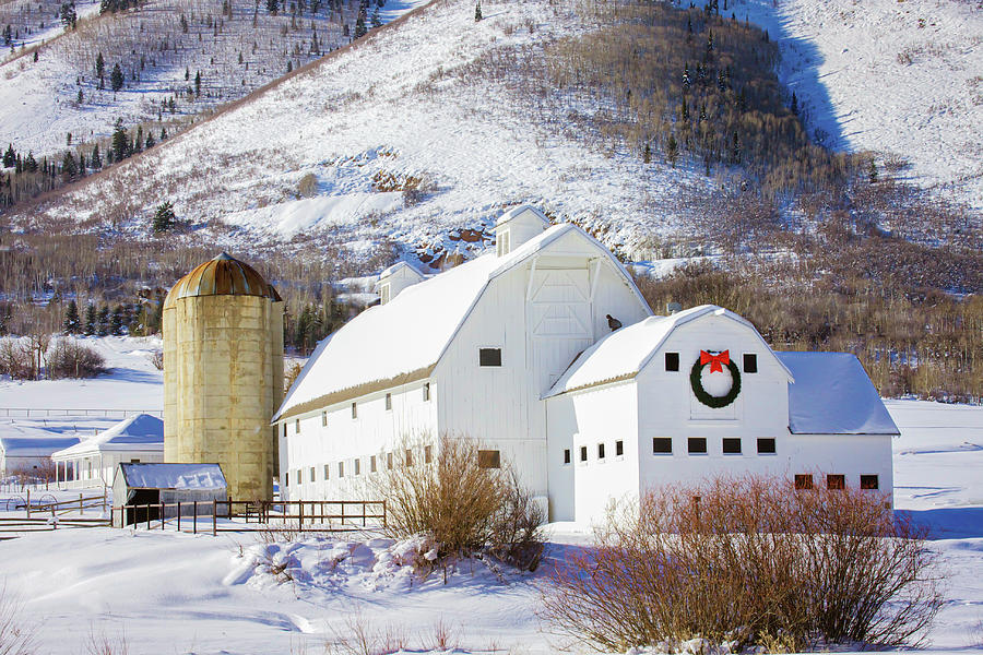 White Mountain Barn in Snow Photograph by Terry Walsh
